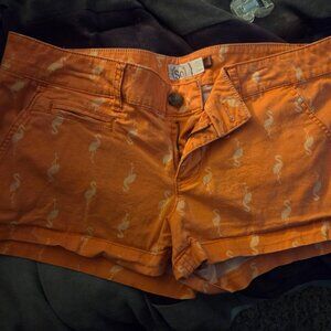 SO Flamingo Shorts